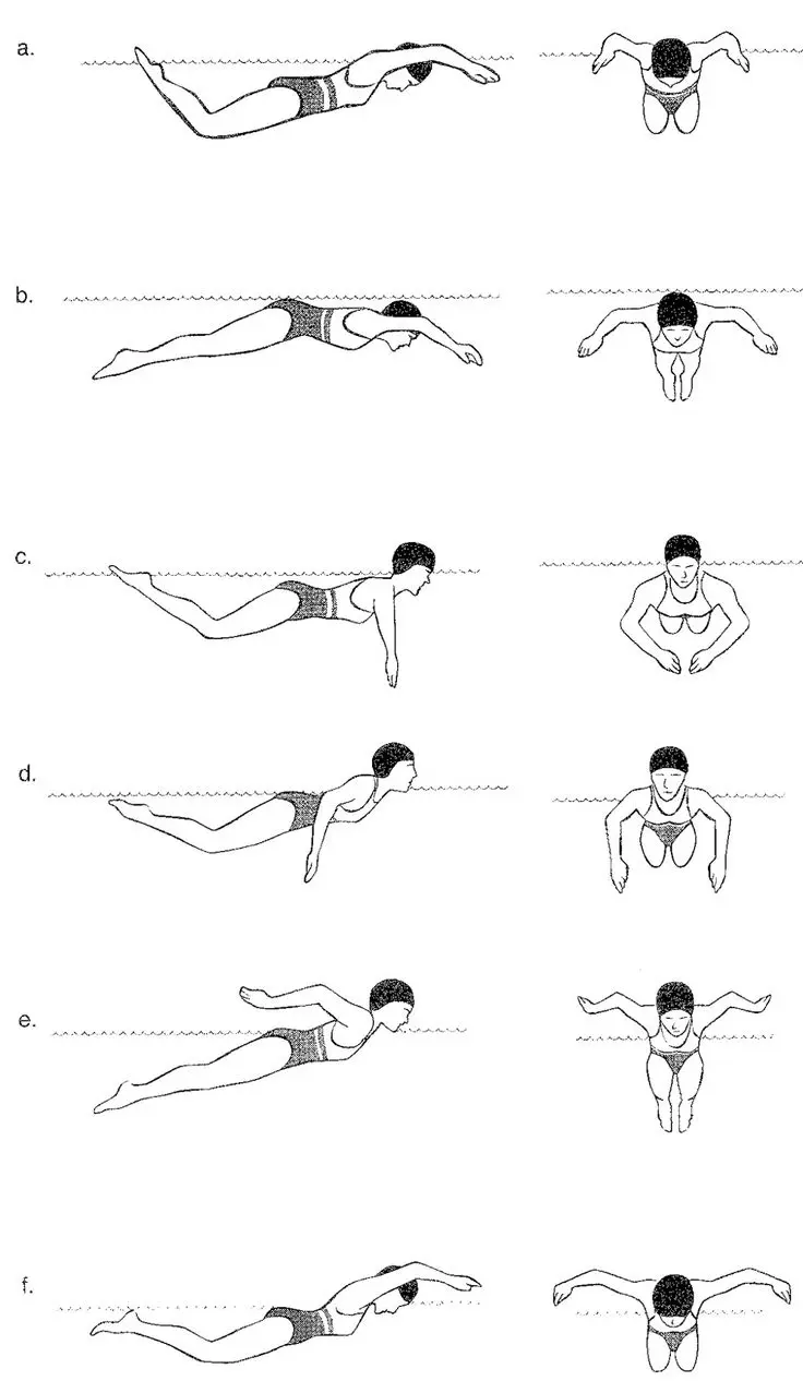 توضیح ورزش شنا به کودکان