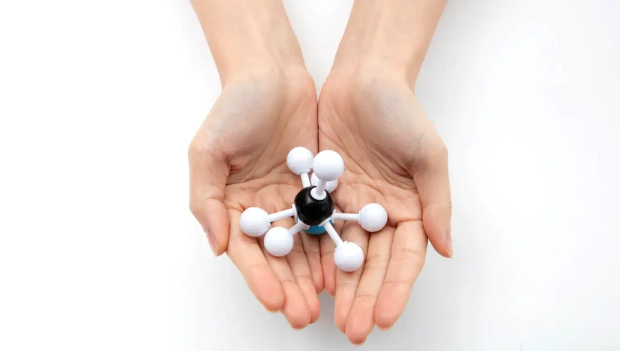 اسیدهای آمینه