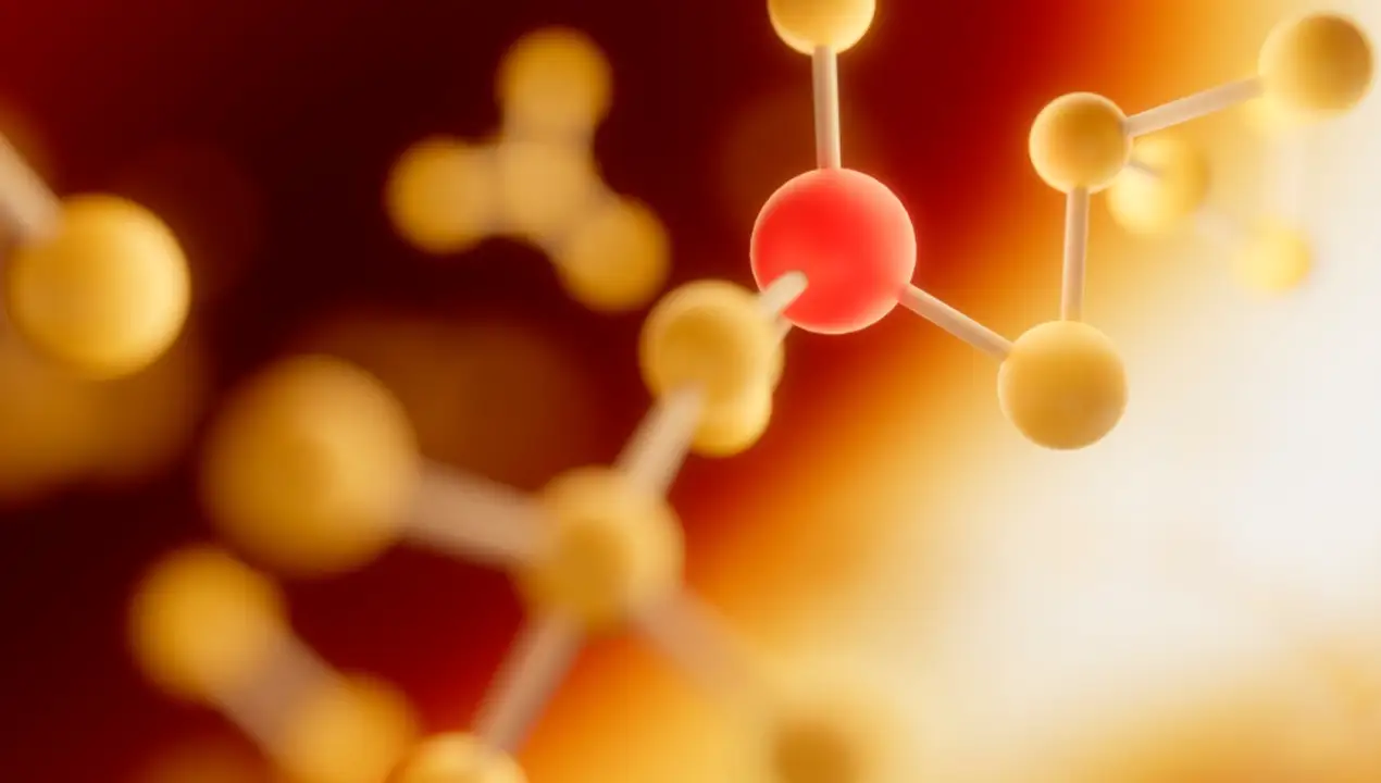 اسیدهای آمینه