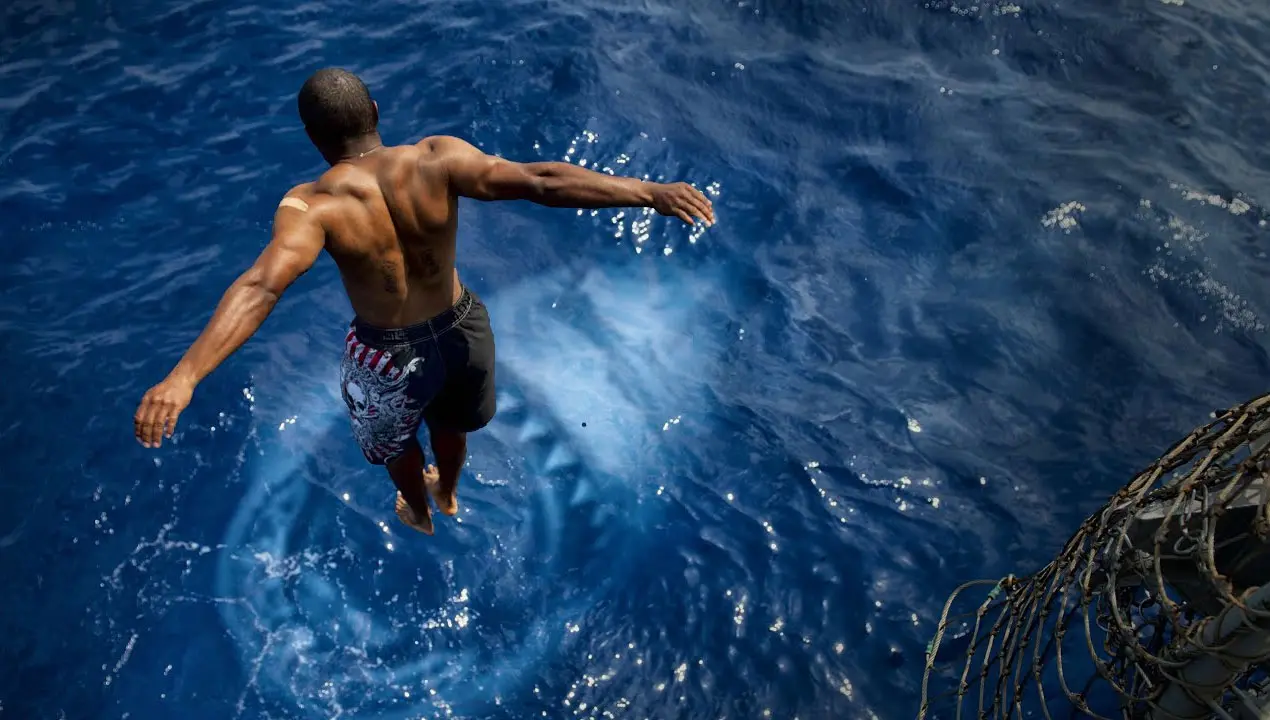 آموزش شیرجه